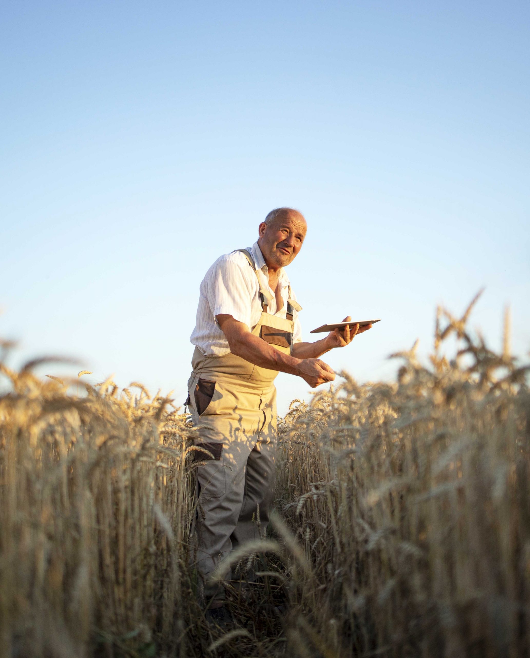 fazendeiro coletando dados em cultura de trigo